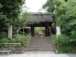 调布格雷斯登饭店外面的花园