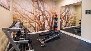 Fitnes centar i/ili fitnes sadržaji u objektu Best Western Plus Harrisburg Mechanicsburg