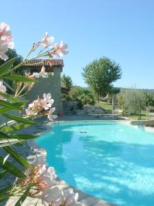 una grande piscina con acqua blu e fiori di Agriturismo Sondrea a Sinio