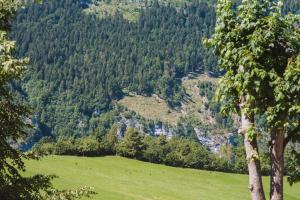 a hillside with a green field and trees at Hotel Mignon in Folgaria