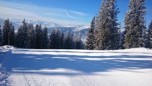 Appartmenthaus Hochkönig v zime