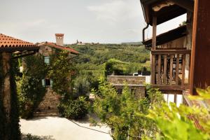 uma vista do jardim de uma casa com uma vinha em Dvor Apartments and Rooms em Dobrovo