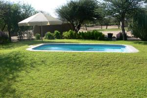 a small swimming pool in a yard with an umbrella at Ombo Rest Camp in Okahandja