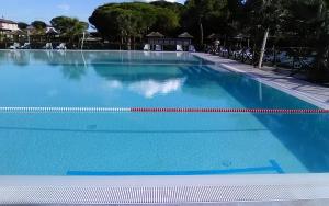 The swimming pool at or close to Fattoria Palazzeta - Pet & Family Friendly