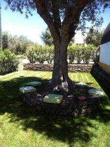 Foto sihtkohas Fronteira asuva majutusasutuse Monte dos Aroeirais galeriist