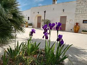 Vonkajšia záhrada v ubytovaní B&B Demetra