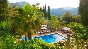 an image of a swimming pool in a forest with mountains at Finca GARROVERA Pollensa in Pollença