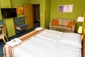 TV a/nebo společenská místnost v ubytování Hotel Rieger Garni