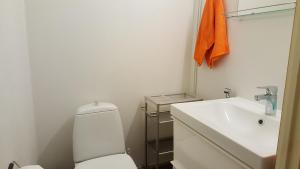 a bathroom with a white toilet and a sink at Hulda`s Apartment by the river in Heinola +11 photos