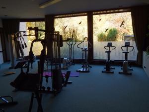 Fitnes oz. oprema za telovadbo v nastanitvi FREE Apartment - Bei den Thermen