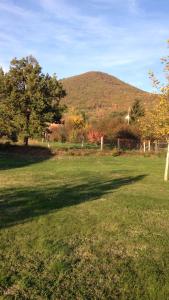 a field of grass with a mountain in the background at Mézesfészer apartman in Cserkút +8 photos