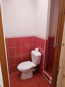 een badkamer met een toilet en rode tegels bij Apartmán u nádraží in Bílina