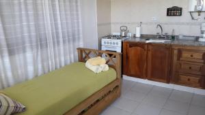 a small kitchen with a stove and a sink at Country House Trabun Curev in Capilla del Monte