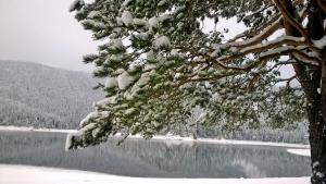 Paesaggio naturale nelle vicinanze dell'affittacamere