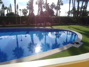 a swimming pool in a yard with palm trees at Acapulco II, 1a LINEA, Playa Amplaries in Oropesa del Mar