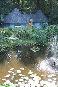 a garden with a house and a pond with a fountain at Pieni Talo in Bakhuizen
