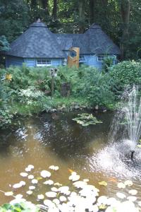 Příroda nedaleko bed and breakfast + 7 fotografií