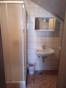 a small bathroom with a sink and a mirror at Bed&Breakfast Zilje in Vinica