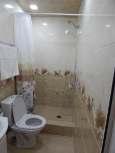 a bathroom with a shower and a toilet and a sink at Arami Guest House in Dilijan +8 photos
