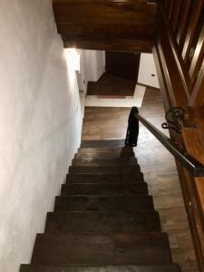 Fotografie z fotogalerie ubytování Antica Potecarìa v destinaci Tonara