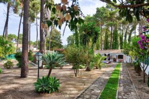 a garden with palm trees and a house at Verdizela Pool & Garden in Charneca