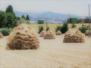 Paisagem natural perto do bed and breakfast