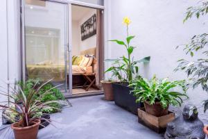 ロンドンにある2 Bed 2 Bath Apartment Pimlicoの鉢植えの植物が植えられたパティオ、ソファ付きの窓