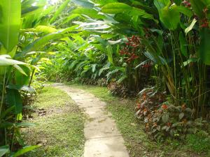 A garden outside Ecotopía Park