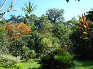 A garden outside Ecotopía Park