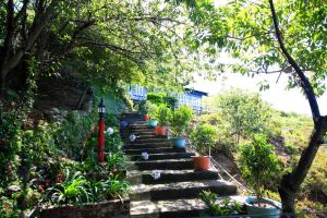 A garden outside Zu Sin Garden B&B
