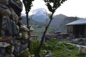 Imagen de la galería de Qusha Guesthouse Meeting in the mountains and views, en Kazbegi
