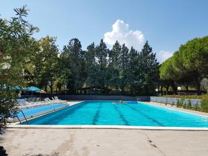 a large swimming pool with a person swimming in it at Villaggio Accademia in Cesenatico