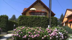 Zahrada ubytování Akácfa Hortenzia Apartman