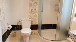 a bathroom with a toilet and a shower at Apartamenty Boszkowo in Boszkowo +29 photos