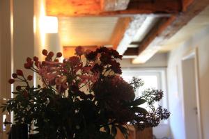 Galeriebild der Unterkunft BB Baischhof Barabein in Warthausen + 8 Fotos