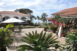 A garden outside Malpais Trece