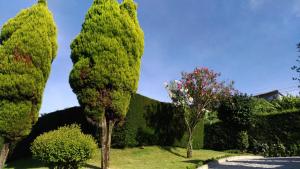 Foto de la galeria de AboimHouse a Amarante