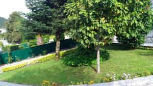 Foto de la galeria de AboimHouse a Amarante