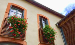 two windows with red flowers on the side of a building at Le Clos des Salins in Toulouse