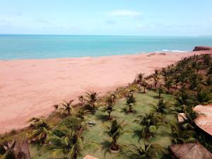 an aerial view of a beach with palm trees and the ocean at Paua Hotel Boutique in Pipa