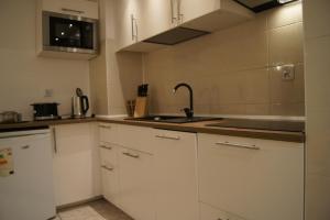 Kuchnia lub aneks kuchenny w obiekcie Apartamenty Usteckie