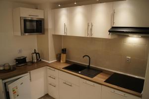 Kuchnia lub aneks kuchenny w obiekcie Apartamenty Usteckie