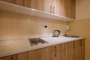 a kitchen counter with a sink and a mixer at Airport Hotel Garni in Belgrade