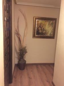 Fotografia z galérie ubytovania Hostal Argentino v destinácii Béjar