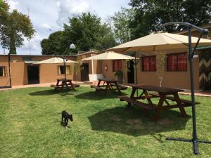 a dog walking in the grass next to picnic tables at El Tajamar in Fray Bentos