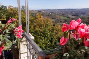 a bunch of pink flowers on a balcony at Bed&Breakfast 1912 in Fermo