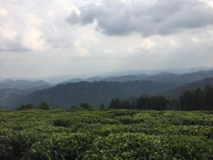 露营地周边自然景观