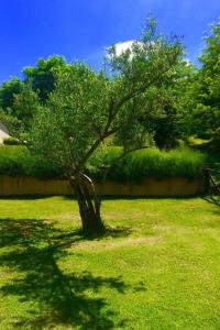 Gallery image of Agriturismo Acero Rosso in Civitella di Romagna