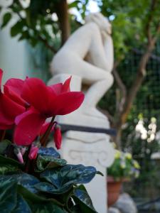 Zahrada ubytování Donna Nicla B&B + 18 fotografií