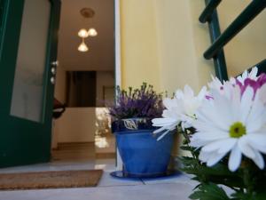Fotografie z fotogalerie ubytování Donna Nicla B&B v destinaci Matera